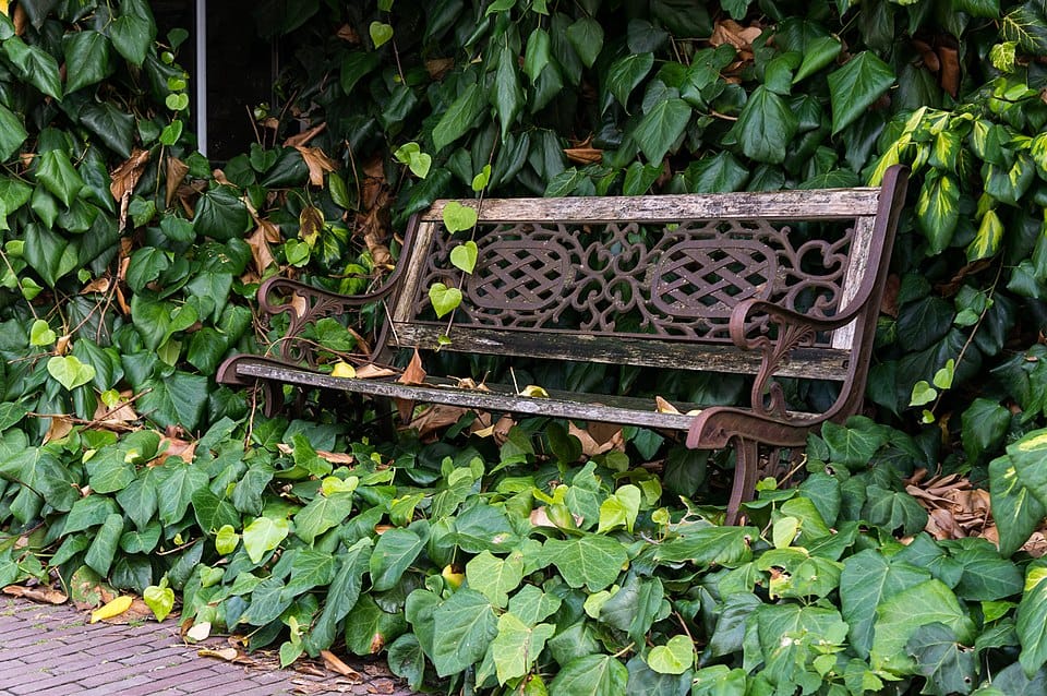 Jak se zbavit hmyzu v domě