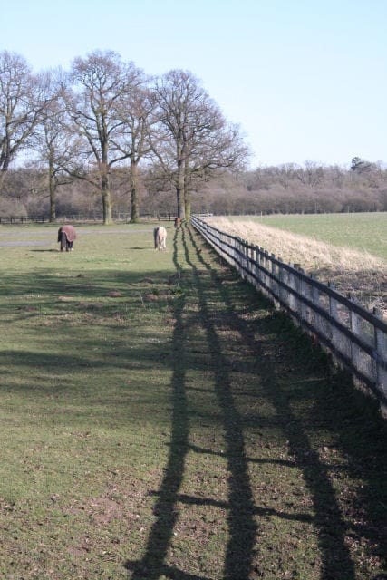 Jak osvětlit byt přirozeným světlem