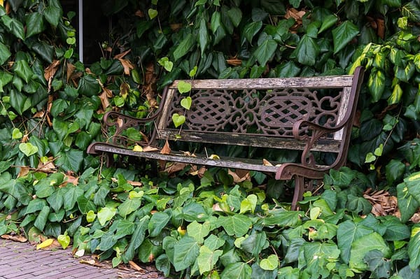 Jak se zbavit hmyzu v domě